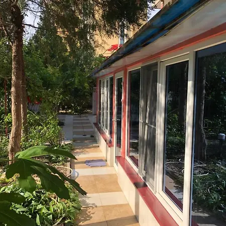 Pensionat Surf House Rose I Po3a L Golden Sands