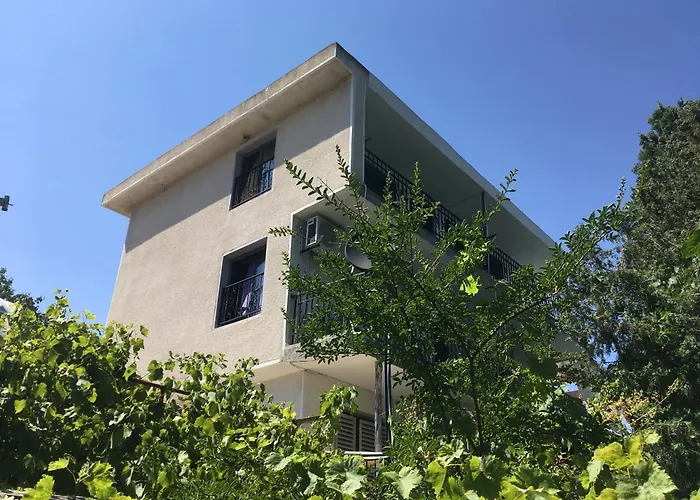 Pensiune Surf House Rose I Po3a L 3*